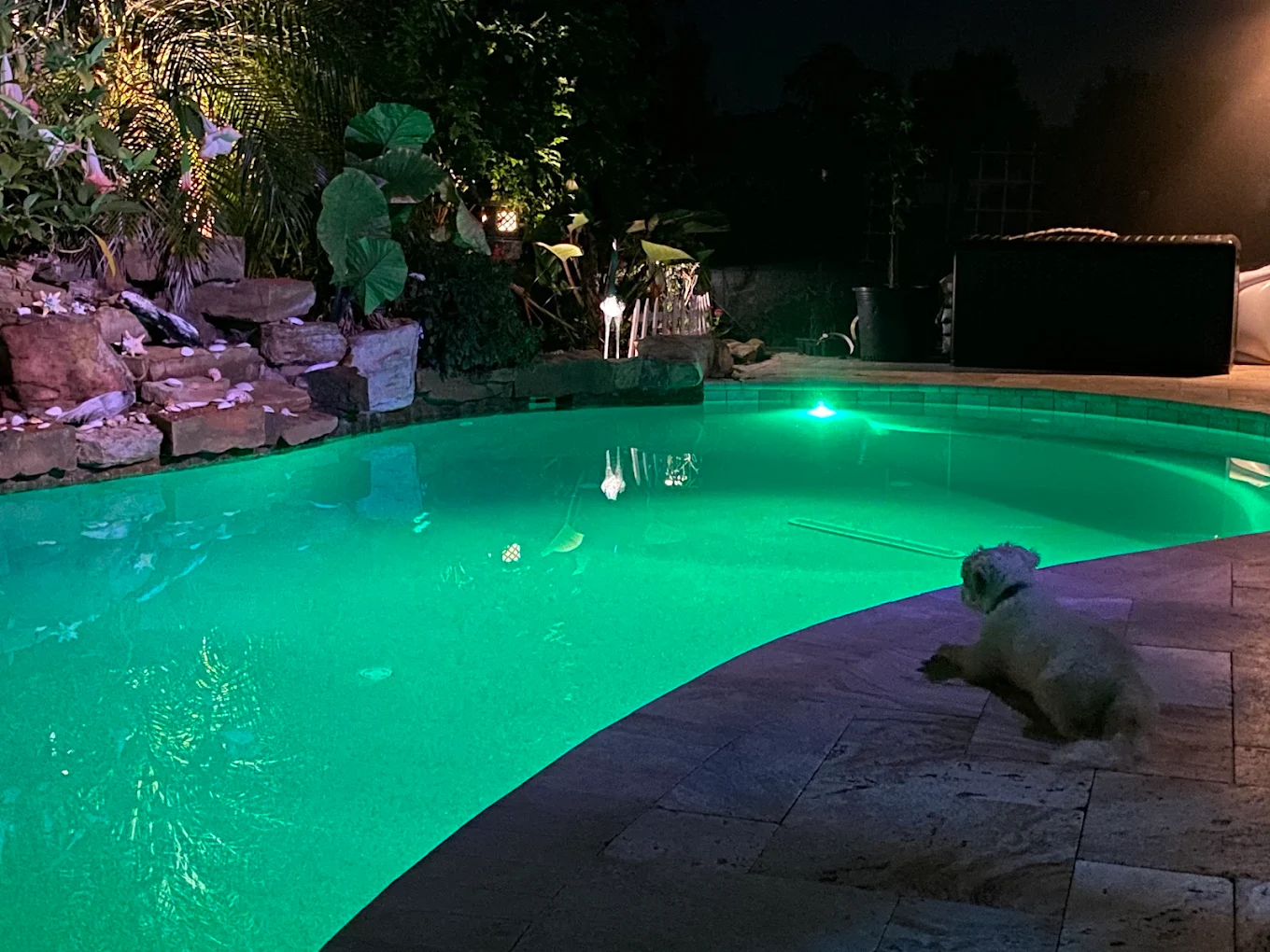 Swimming pool illuminated with LED lighting at night